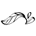 aromandina.com-logo